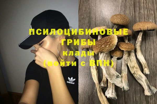 экстази Горняк