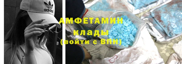 сатива Струнино