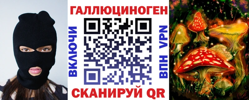 закладки  площадка клад  Псилоцибиновые грибы ЛСД  Пудож 